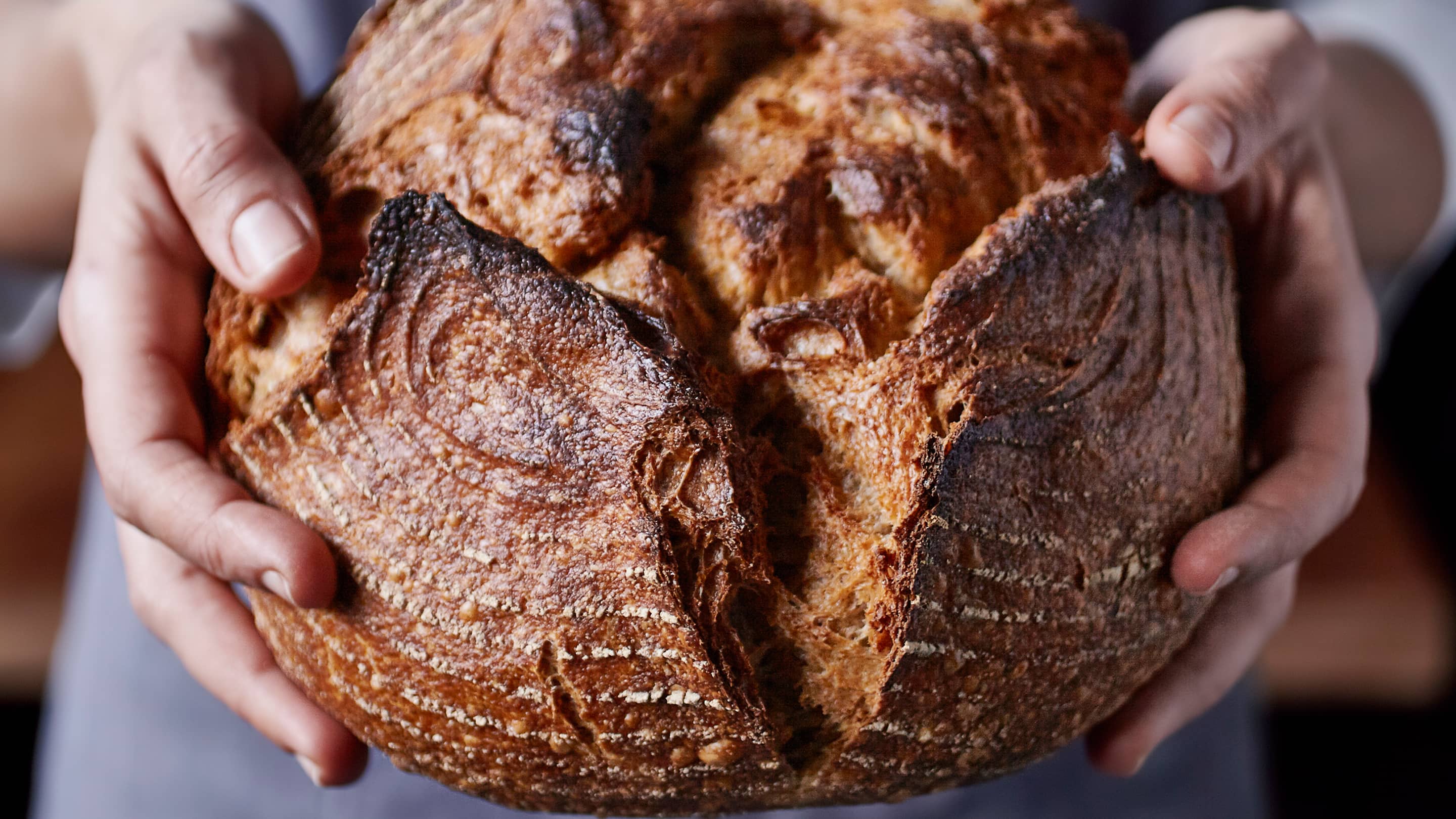 2 Hände halten einen Sauerteigaib