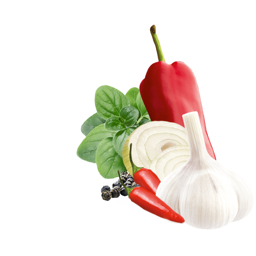 Paprika, Knoblauch, Zwiebelscheiben, Chilis und schwarzer Pfeffer