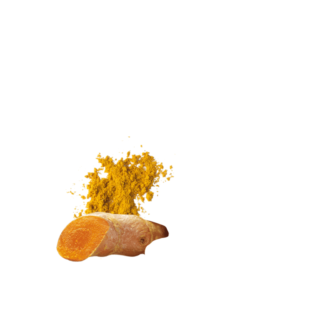 Ricechips Curry Detailbild 4